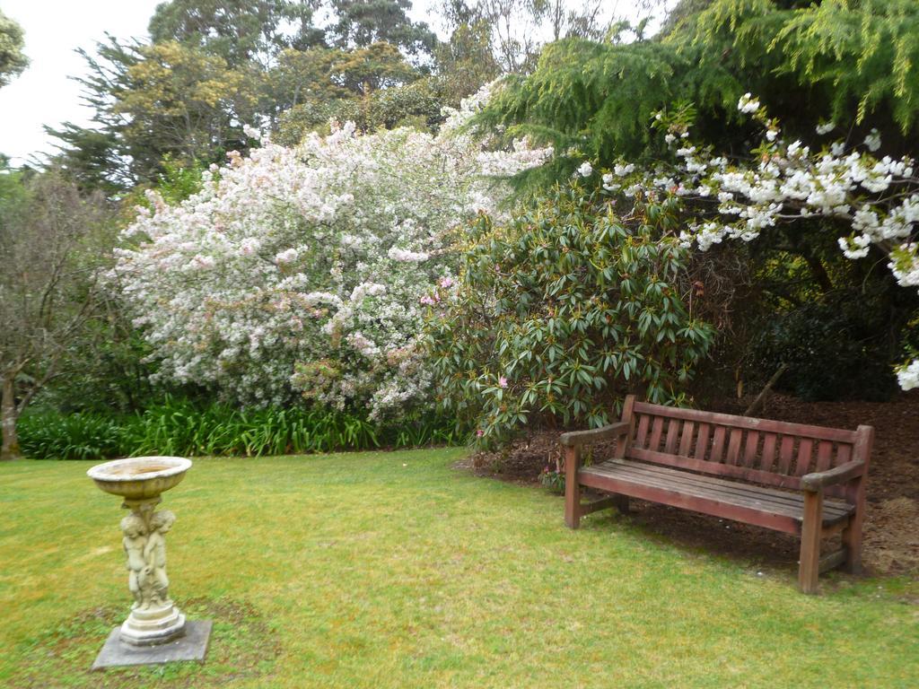 Donalea Bed And Breakfast & Riverview Apartment Castle Forbes Bay Room photo