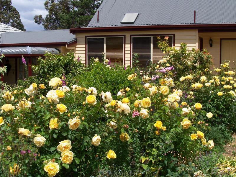 Donalea Bed And Breakfast & Riverview Apartment Castle Forbes Bay Exterior photo
