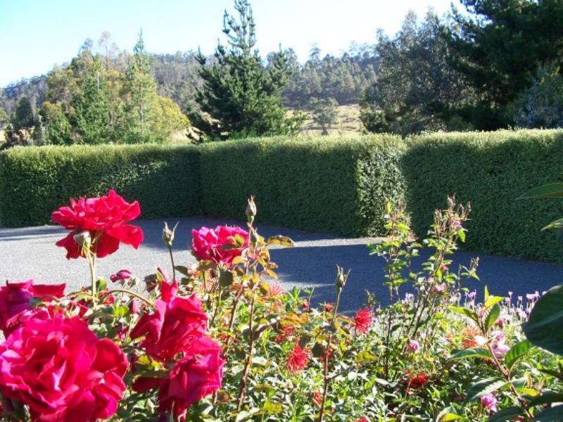 Donalea Bed And Breakfast & Riverview Apartment Castle Forbes Bay Exterior photo
